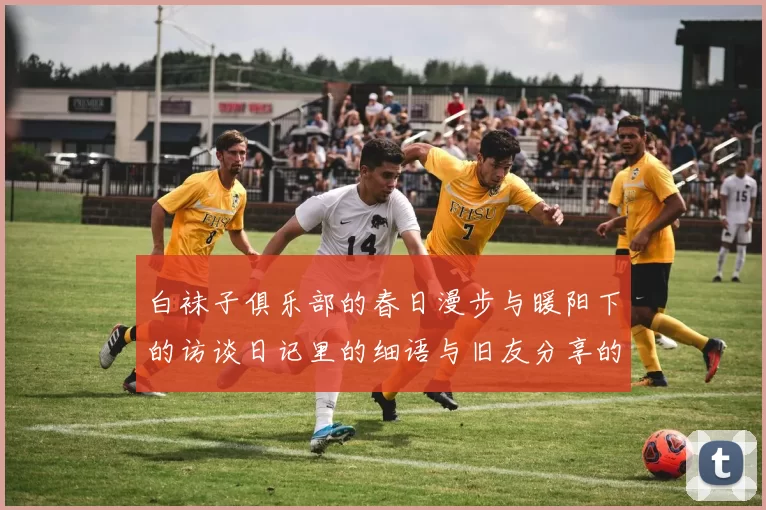 白袜子俱乐部的春日漫步与暖阳下的访谈日记里的细语与旧友分享的