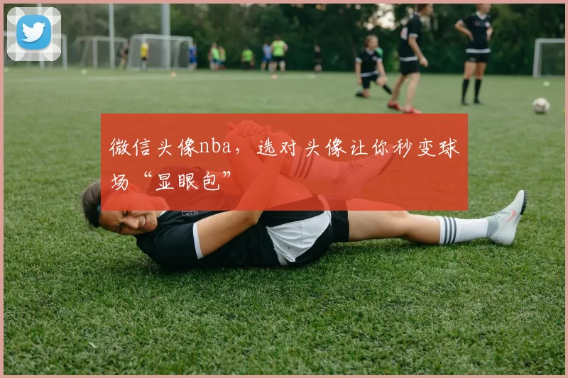 微信头像nba,选对头像让你秒变球场“显眼包”